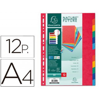 Separador exacompta cartolina conjunto de 12 separadores de cores a4 multiperfurado