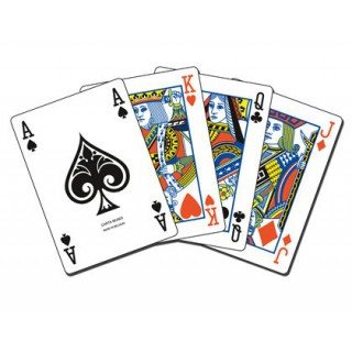 Baralho marigo poker ingles 55 cartas estojo de cartao